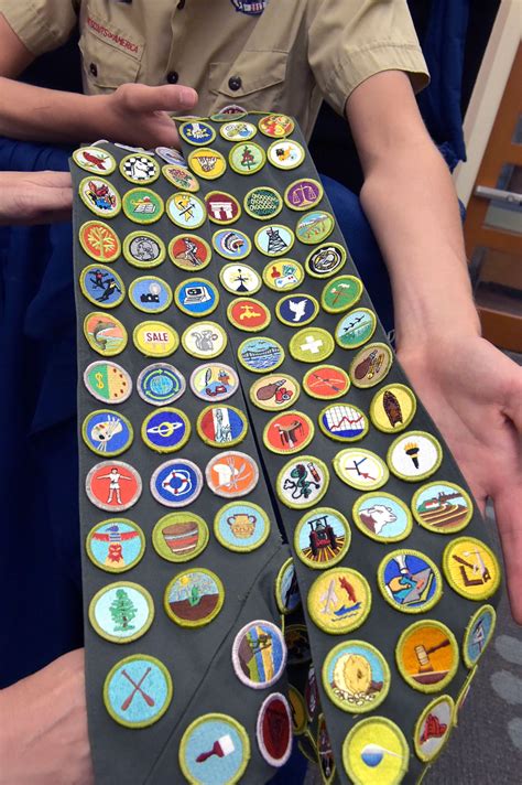 Climbing the Ladder: Advancing Your Career with the Mavoc Merit Badge